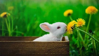 KAIYUNAPP-【战术揭秘】马克·塞尔比：防守宽度与深度结合的绝技，马克塞尔比历史地位